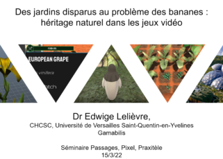 The introduction slide, with the title, author name and affiliations. The illustrations are in triangles, depicting video games Tevi and Vestigia.